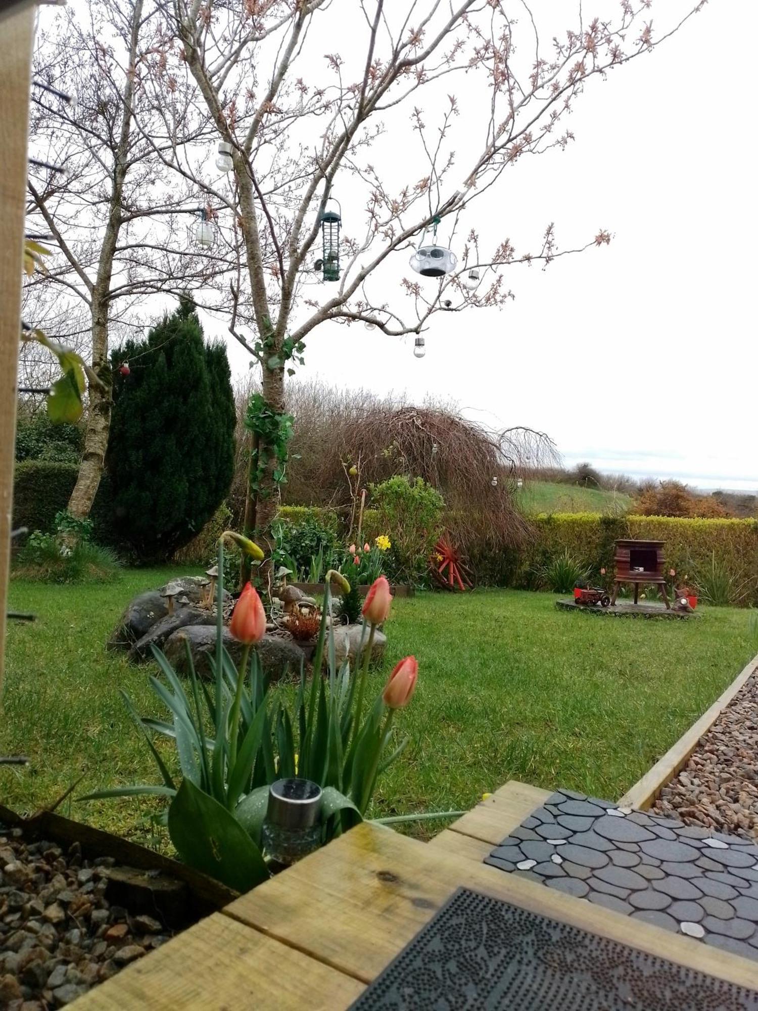 Robins Rest Villa Donegal Town Eksteriør billede